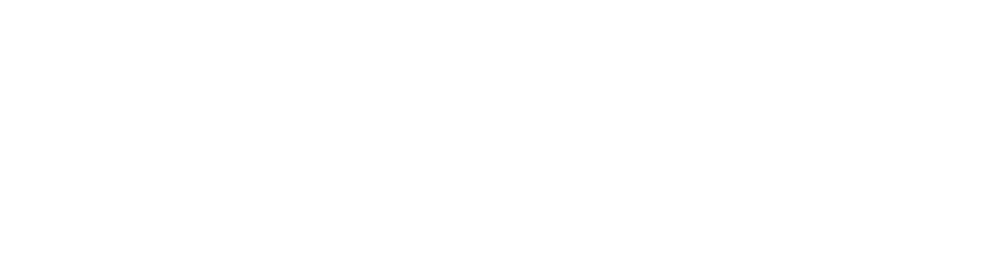 Cary Street Partners